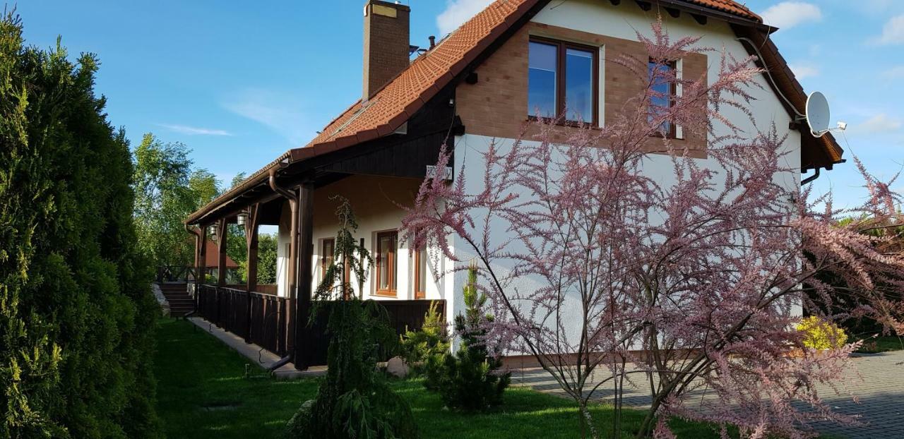 Villa Dom W Skowronkach Sasino Exterior foto